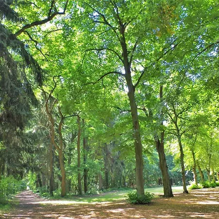 Zur Eselwiese, Haus Ii Gasthof *